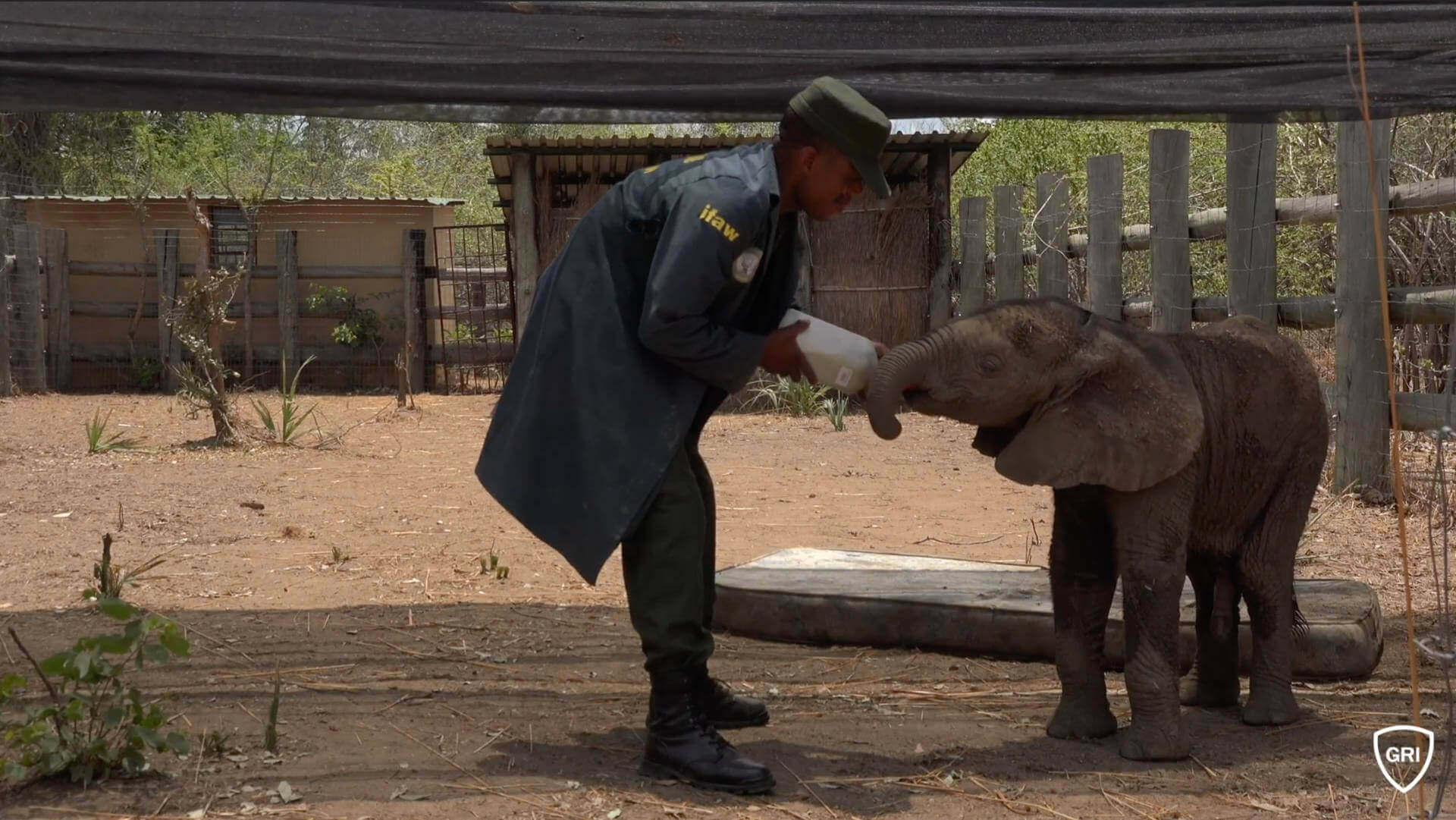 Keeper with a baby elephant at an orphanage
